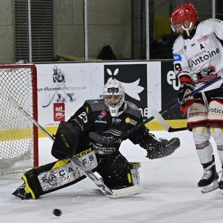 17/02/24 - D1-J23 - BREST-CHOLET (4-5) - © Julien Ogor
