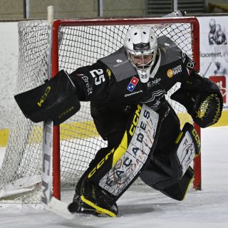 17/02/24 - D1-J23 - BREST-CHOLET (4-5) - © Julien Ogor