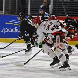 17/02/24 - D1-J23 - BREST-CHOLET (4-5) - © Julien Ogor