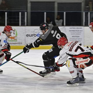 17/02/24 - D1-J23 - BREST-CHOLET (4-5) - © Julien Ogor