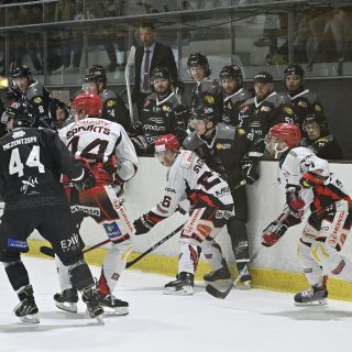 17/02/24 - D1-J23 - BREST-CHOLET (4-5) - © Julien Ogor