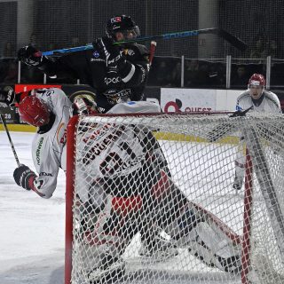 17/02/24 - D1-J23 - BREST-CHOLET (4-5) - © Julien Ogor
