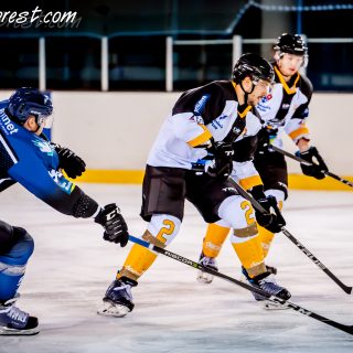 ALBATROS DE BREST VS LES CORSAIRES DE NANTES 04/09/18 - © Marion BESCOND
