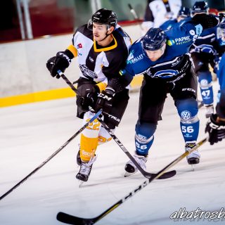 ALBATROS DE BREST VS LES CORSAIRES DE NANTES 04/09/18 - © Marion BESCOND