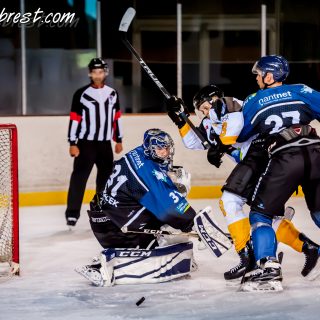 ALBATROS DE BREST VS LES CORSAIRES DE NANTES 04/09/18 - © Marion BESCOND