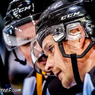 ALBATROS DE BREST VS LES CORSAIRES DE NANTES 04/09/18 - © Marion BESCOND