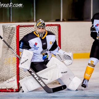 ALBATROS DE BREST VS LES CORSAIRES DE NANTES 04/09/18 - © Marion BESCOND