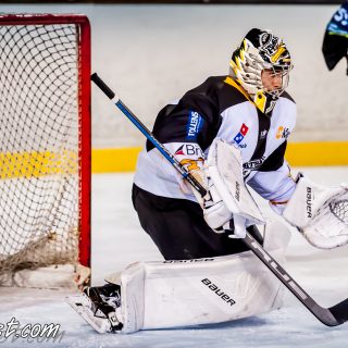 ALBATROS DE BREST VS LES CORSAIRES DE NANTES 04/09/18 - © Marion BESCOND