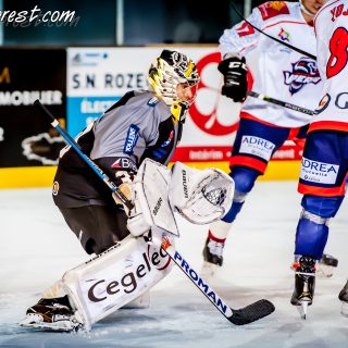 ALBATROS DE BREST VS LES VIPERS DE MONTPELLIER 22/09/18 - © Marion BESCOND