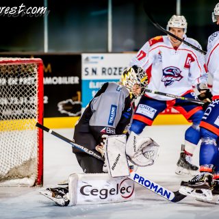 ALBATROS DE BREST VS LES VIPERS DE MONTPELLIER 22/09/18 - © Marion BESCOND