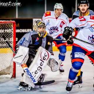 ALBATROS DE BREST VS LES VIPERS DE MONTPELLIER 22/09/18 - © Marion BESCOND