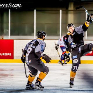 ALBATROS DE BREST VS LES VIPERS DE MONTPELLIER 22/09/18 - © Marion BESCOND