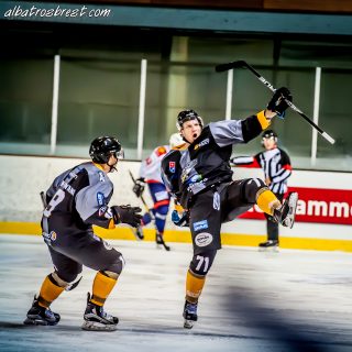 ALBATROS DE BREST VS LES VIPERS DE MONTPELLIER 22/09/18 - © Marion BESCOND