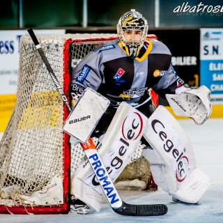 ALBATROS DE BREST VS LES VIPERS DE MONTPELLIER 22/09/18 - © Marion BESCOND