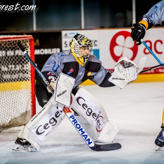 ALBATROS DE BREST VS LES VIPERS DE MONTPELLIER 22/09/18 - © Marion BESCOND
