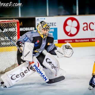 ALBATROS DE BREST VS LES VIPERS DE MONTPELLIER 22/09/18 - © Marion BESCOND