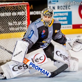 ALBATROS DE BREST VS LES VIPERS DE MONTPELLIER 22/09/18 - © Marion BESCOND