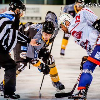 ALBATROS DE BREST VS LES VIPERS DE MONTPELLIER 22/09/18 - © Marion BESCOND