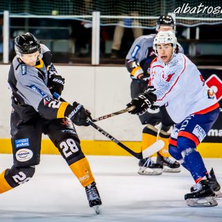 ALBATROS DE BREST VS LES VIPERS DE MONTPELLIER 22/09/18 - © Marion BESCOND