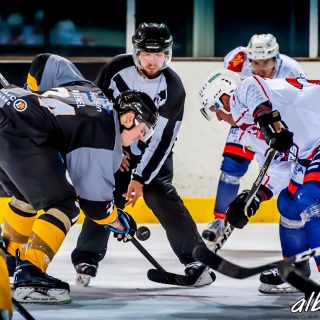 ALBATROS DE BREST VS LES VIPERS DE MONTPELLIER 22/09/18 - © Marion BESCOND