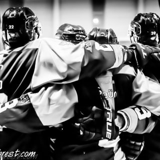ALBATROS DE BREST VS LES VIPERS DE MONTPELLIER 22/09/18 - © Marion BESCOND