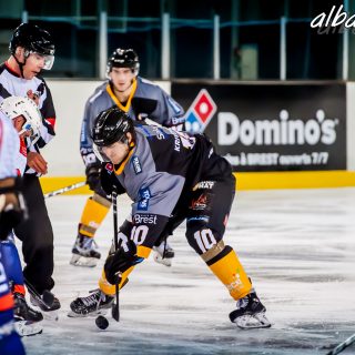 ALBATROS DE BREST VS LES VIPERS DE MONTPELLIER 22/09/18 - © Marion BESCOND