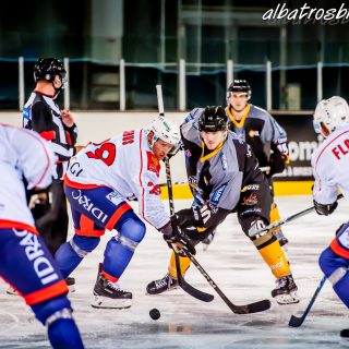 ALBATROS DE BREST VS LES VIPERS DE MONTPELLIER 22/09/18 - © Marion BESCOND
