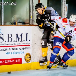 ALBATROS DE BREST VS LES VIPERS DE MONTPELLIER 22/09/18 - © Marion BESCOND