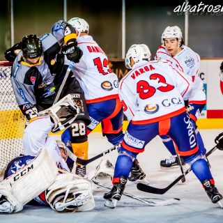 ALBATROS DE BREST VS LES VIPERS DE MONTPELLIER 22/09/18 - © Marion BESCOND
