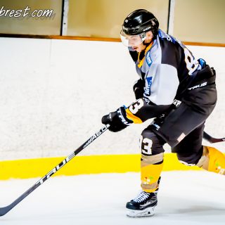 ALBATROS DE BREST VS LES VIPERS DE MONTPELLIER 22/09/18 - © Marion BESCOND