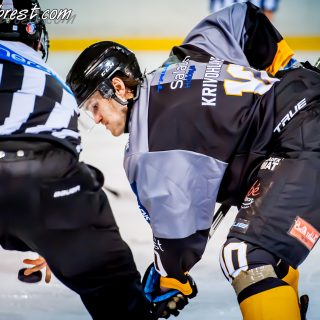 ALBATROS DE BREST VS LES VIPERS DE MONTPELLIER 22/09/18 - © Marion BESCOND