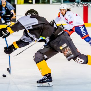 ALBATROS DE BREST VS LES VIPERS DE MONTPELLIER 22/09/18 - © Marion BESCOND