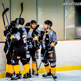 ALBATROS DE BREST VS LES VIPERS DE MONTPELLIER 22/09/18 - © Marion BESCOND