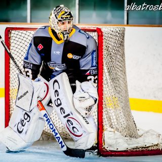 ALBATROS DE BREST VS LES VIPERS DE MONTPELLIER 22/09/18 - © Marion BESCOND