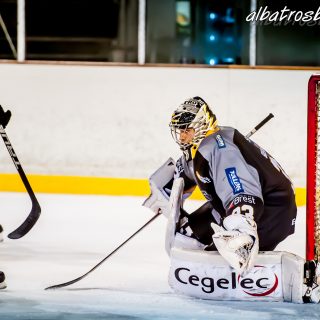 ALBATROS DE BREST VS LES VIPERS DE MONTPELLIER 22/09/18 - © Marion BESCOND