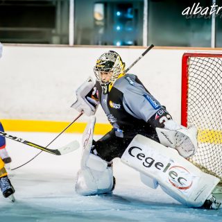 ALBATROS DE BREST VS LES VIPERS DE MONTPELLIER 22/09/18 - © Marion BESCOND