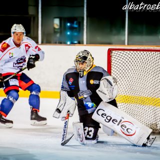 ALBATROS DE BREST VS LES VIPERS DE MONTPELLIER 22/09/18 - © Marion BESCOND