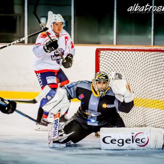 ALBATROS DE BREST VS LES VIPERS DE MONTPELLIER 22/09/18 - © Marion BESCOND
