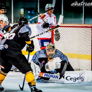 ALBATROS DE BREST VS LES VIPERS DE MONTPELLIER 22/09/18 - © Marion BESCOND