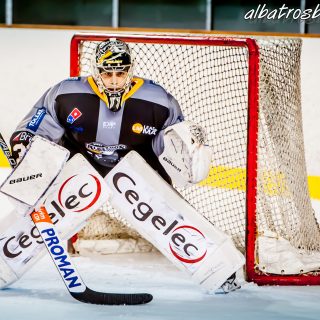 ALBATROS DE BREST VS LES VIPERS DE MONTPELLIER 22/09/18 - © Marion BESCOND
