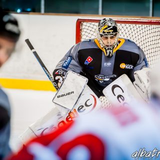 ALBATROS DE BREST VS LES VIPERS DE MONTPELLIER 22/09/18 - © Marion BESCOND