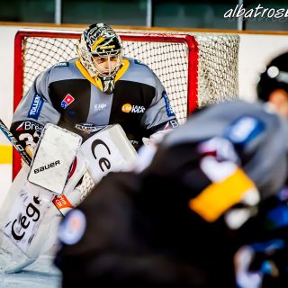 ALBATROS DE BREST VS LES VIPERS DE MONTPELLIER 22/09/18 - © Marion BESCOND