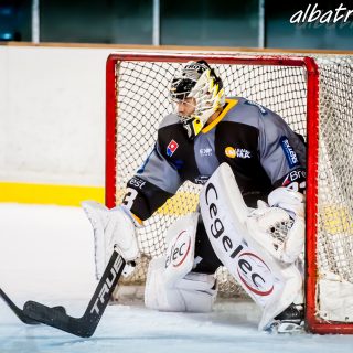 ALBATROS DE BREST VS LES VIPERS DE MONTPELLIER 22/09/18 - © Marion BESCOND