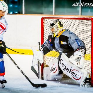 ALBATROS DE BREST VS LES VIPERS DE MONTPELLIER 22/09/18 - © Marion BESCOND