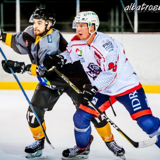 ALBATROS DE BREST VS LES VIPERS DE MONTPELLIER 22/09/18 - © Marion BESCOND