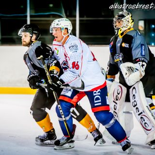 ALBATROS DE BREST VS LES VIPERS DE MONTPELLIER 22/09/18 - © Marion BESCOND
