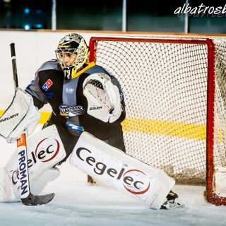 ALBATROS DE BREST VS LES VIPERS DE MONTPELLIER 22/09/18 - © Marion BESCOND