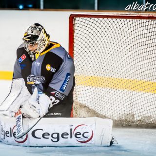 ALBATROS DE BREST VS LES VIPERS DE MONTPELLIER 22/09/18 - © Marion BESCOND
