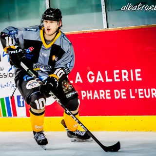 ALBATROS DE BREST VS LES VIPERS DE MONTPELLIER 22/09/18 - © Marion BESCOND