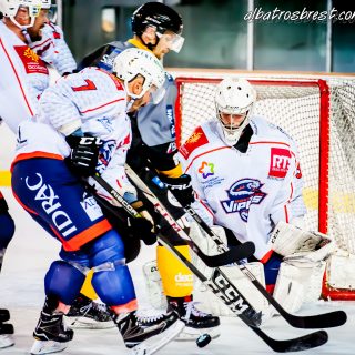 ALBATROS DE BREST VS LES VIPERS DE MONTPELLIER 22/09/18 - © Marion BESCOND